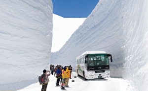 立山の白壁・雪の大谷　日帰りバスツアー