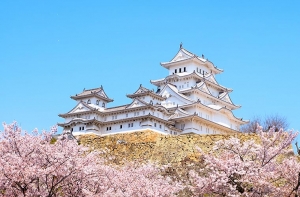 【ツアーA】日帰りで行く！天下の名城！桜の名所姫路城の旅