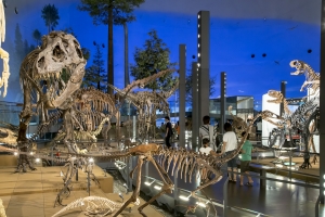 【チカイトコバスツアーC】リニューアルオープン　福井恐竜博物館　限定ライブショーの旅